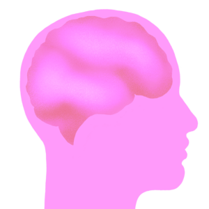 Pink brain