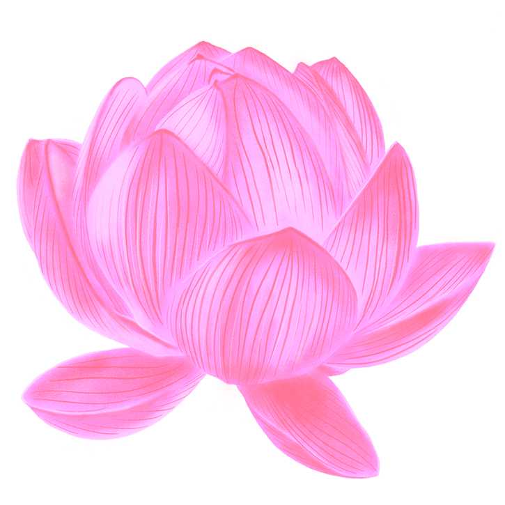 Flower (5)