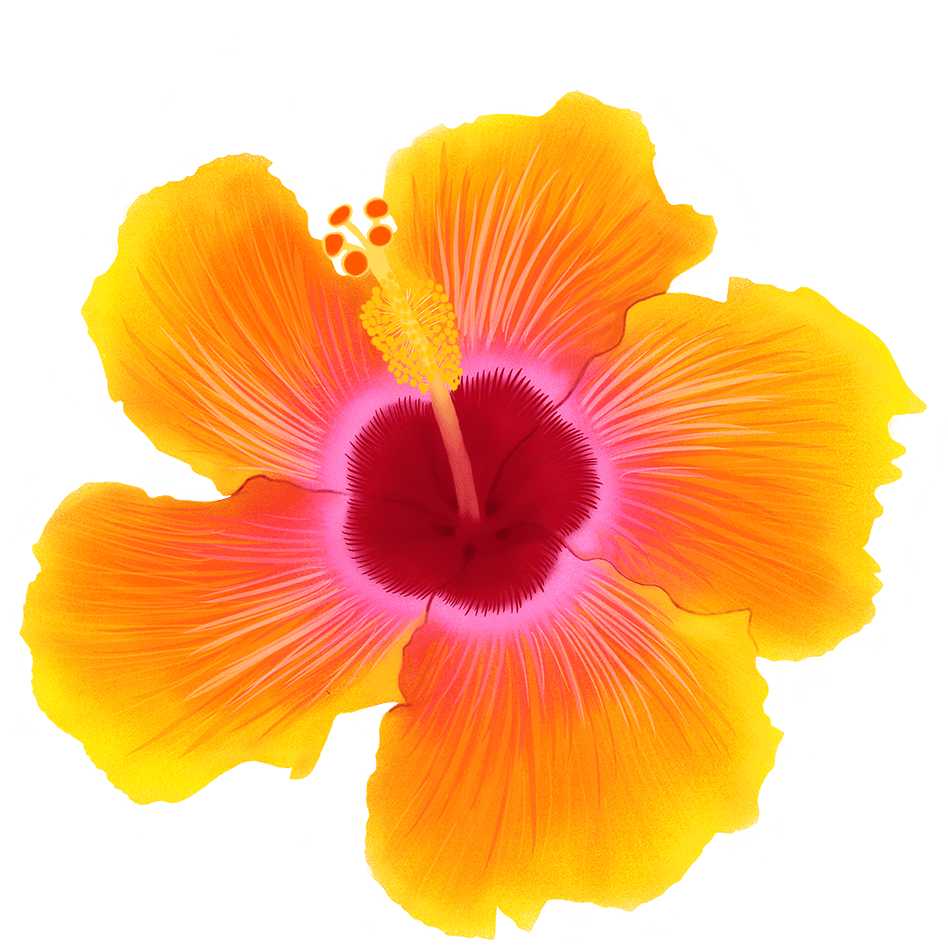 Flower (4)