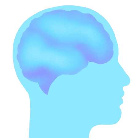 Brain