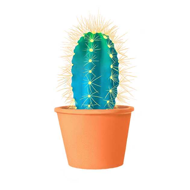 Cactus