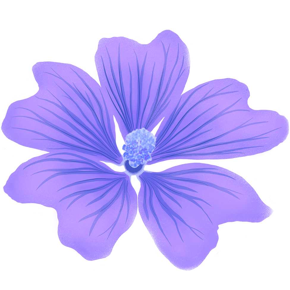 Flower (2)