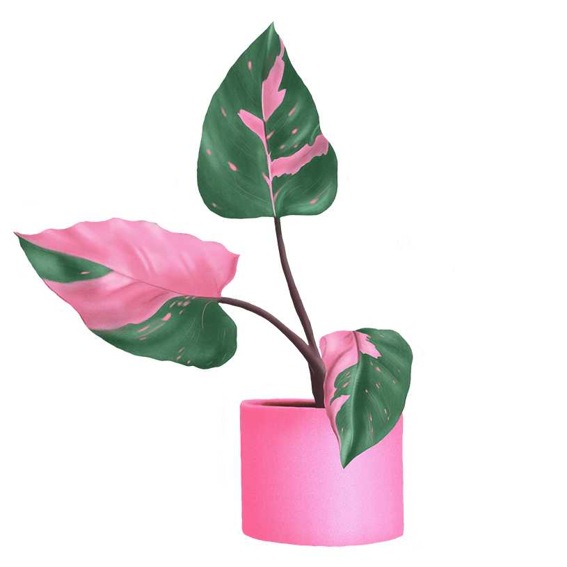 Flower (1)